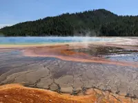 自動画像